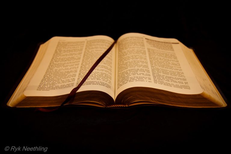 How Many Verses Are in The Bible?